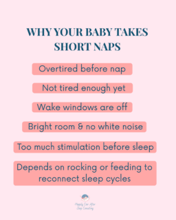 Your baby is NOT waking after 30 minutes for no reason 👇👀
If your baby only naps 30–45 minutes, wakes up cranky, or needs to be rescued back to sleep every nap…
there’s usually a reason why
1️⃣ Awake Windows Matter ⏰
Awake windows are how long your baby can comfortably stay awake before needing sleep 😴
If your baby goes down UNDER tired, there won’t be enough sleep pressure to stay asleep and connect sleep cycles.
This can look like:
• taking a long time to fall asleep
• waking after one sleep cycle
• happy but short naps
• false starts at bedtime
If your baby goes down OVER tired, their body releases cortisol (stress hormones), making it harder to stay asleep 😵💫
This can look like:
• fighting naps
• waking crying
• frequent night wakings
• early mornings
• short, restless naps
Finding the right awake window is one of the BIGGEST factors in improving naps
2️⃣ Sleep Environment Is Important 🌙
Babies are very sensitive to light and stimulation during naps.
A dark room + white noise can make a huge difference in helping your baby transition between sleep cycles and stay asleep longer
Even small things like bright light, household noise, or too much stimulation before nap time can contribute to short naps.
3️⃣ HOW Your Baby Falls Asleep Matters 💤
This is the part most parents aren’t told
If your baby fully relies on rocking, feeding, bouncing, or being held to sleep, they often wake between sleep cycles looking for the exact same help again.
That’s why many babies wake fully after 30–40 minutes 😴
Teaching independent sleep skills helps your baby learn how to reconnect sleep cycles without needing your help every time 🤍
✨ Bonus Tip:
Start with bedtime first 🌙
Bedtime is usually easier because your baby naturally has more sleep pressure and melatonin working in your favor at night 💯😉
.
.
.
#babysleeptips #babynaps #sleepconsultant #babywakewindows #shortnaps #newmom #babysleepsupport #sleeptraining #gentlesleeptraining #parentingtips #infantsleep #toddlersleep #newbornmom
